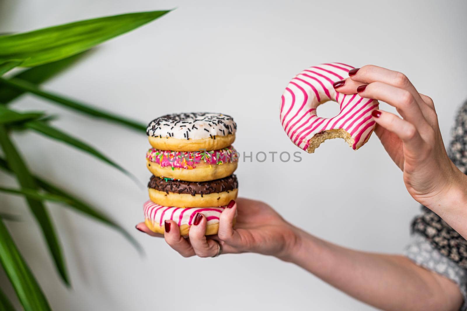 Female holds in hand colorful stack of glazed donuts. White background. Top view. Copy space by Composter