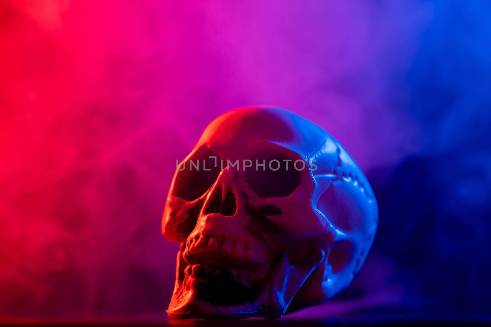 Human skull in pink and blue smoke on a black background. Halloween. by mrwed54