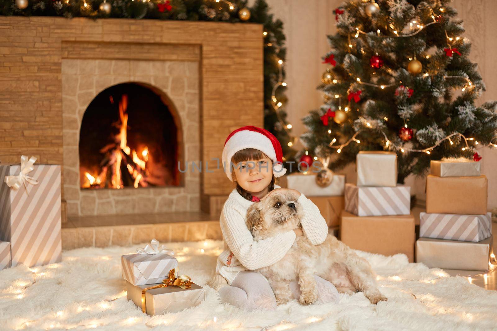 Little girl and dog at Christmas Eve sitting on white soft carpet, child looking at camera and hugging her pet, female kid in santa hat sitting near fire place and fir tree.