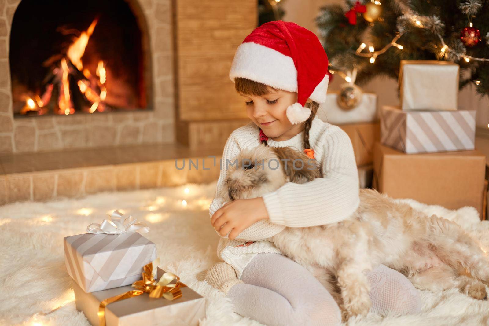 Little girl with Pekingese dog posing in holiday room, sitting on floor on soft carpet near fireplace and fir tree with her favorite pet, child hugging puppy, wearing santa hat.