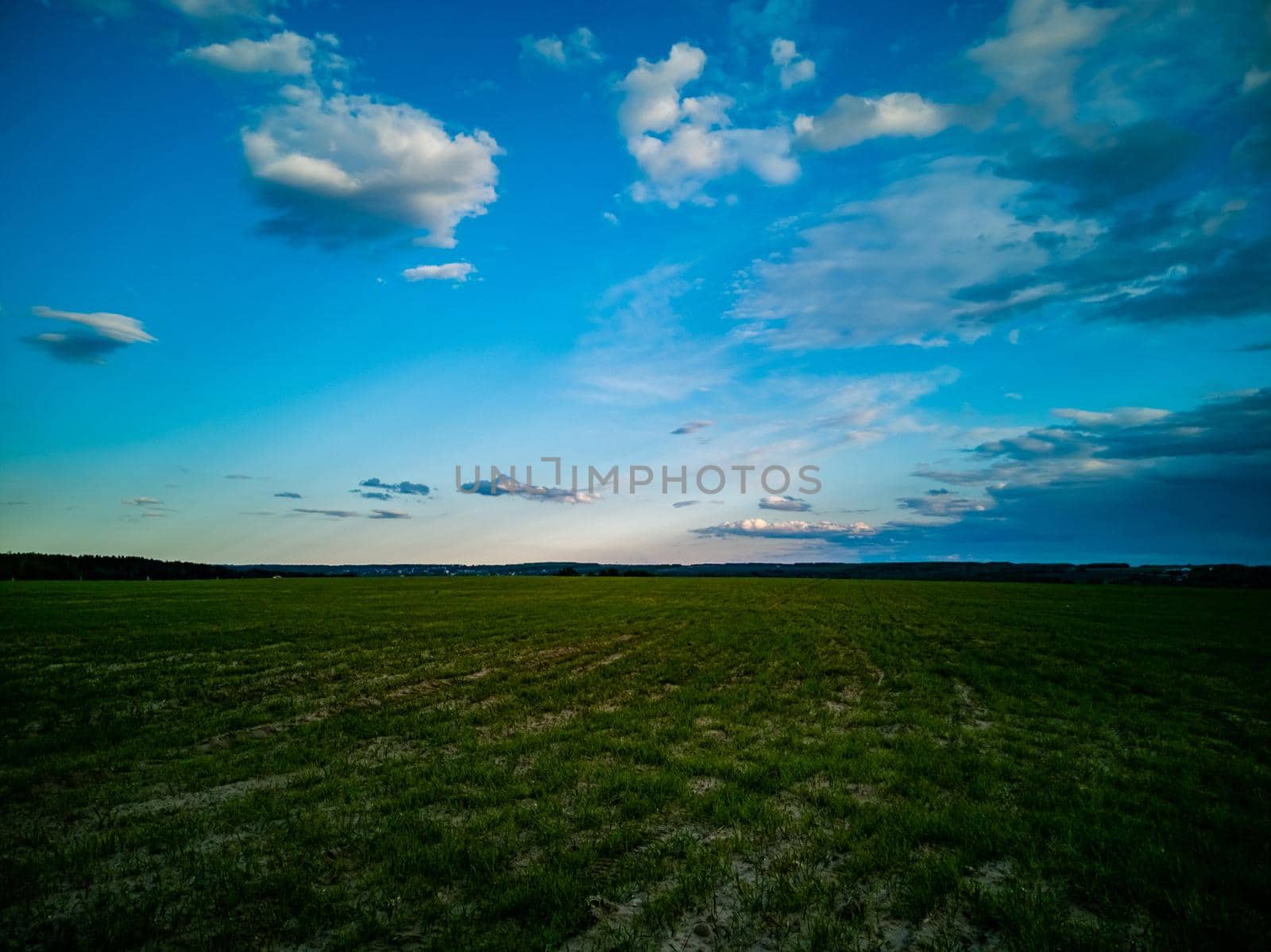 beautiful countryside landscape. green agricultural field and deep blue sky with white clouds. artistic blur