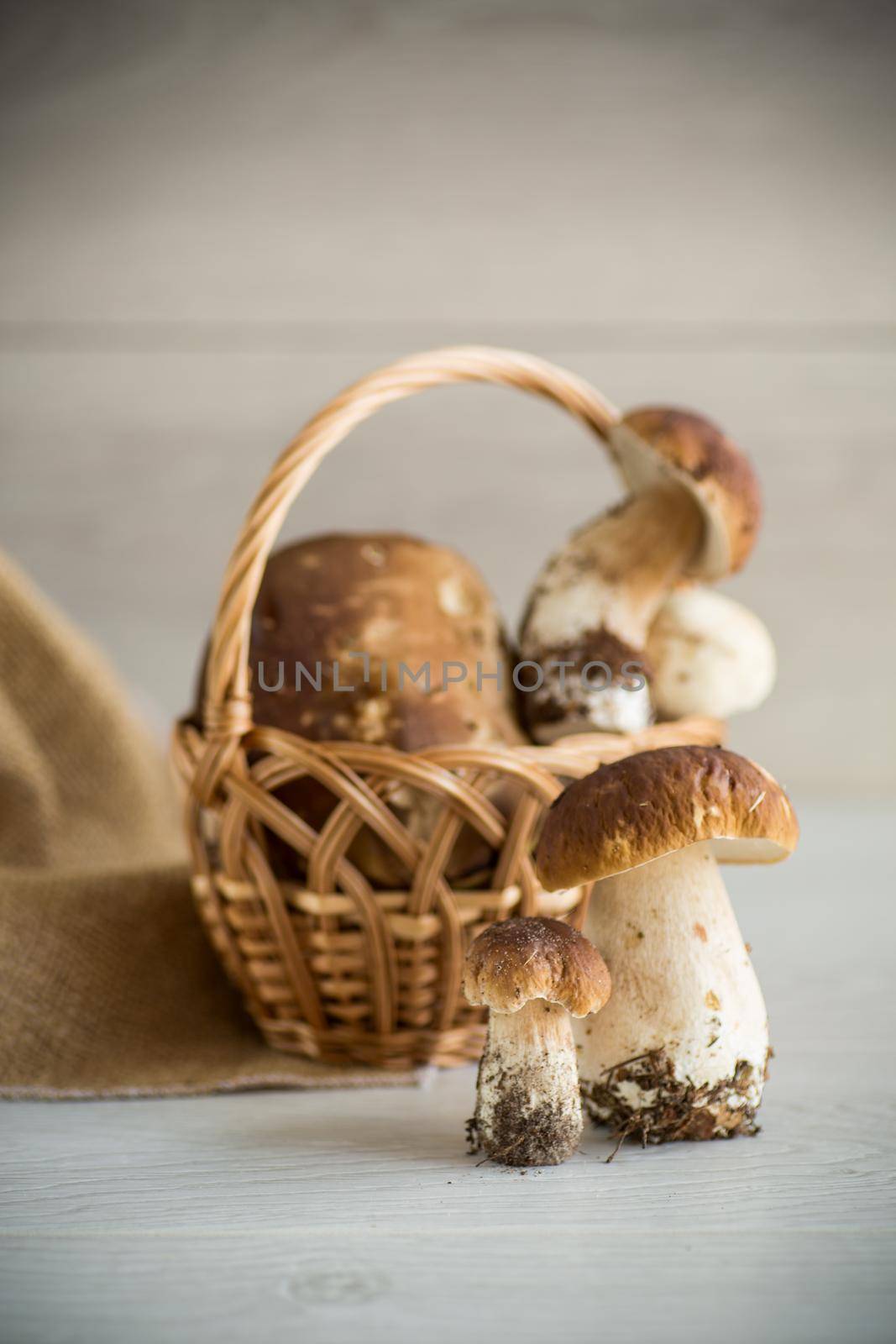 a bunch of fresh harvested forest mushrooms in a basket on a wooden table