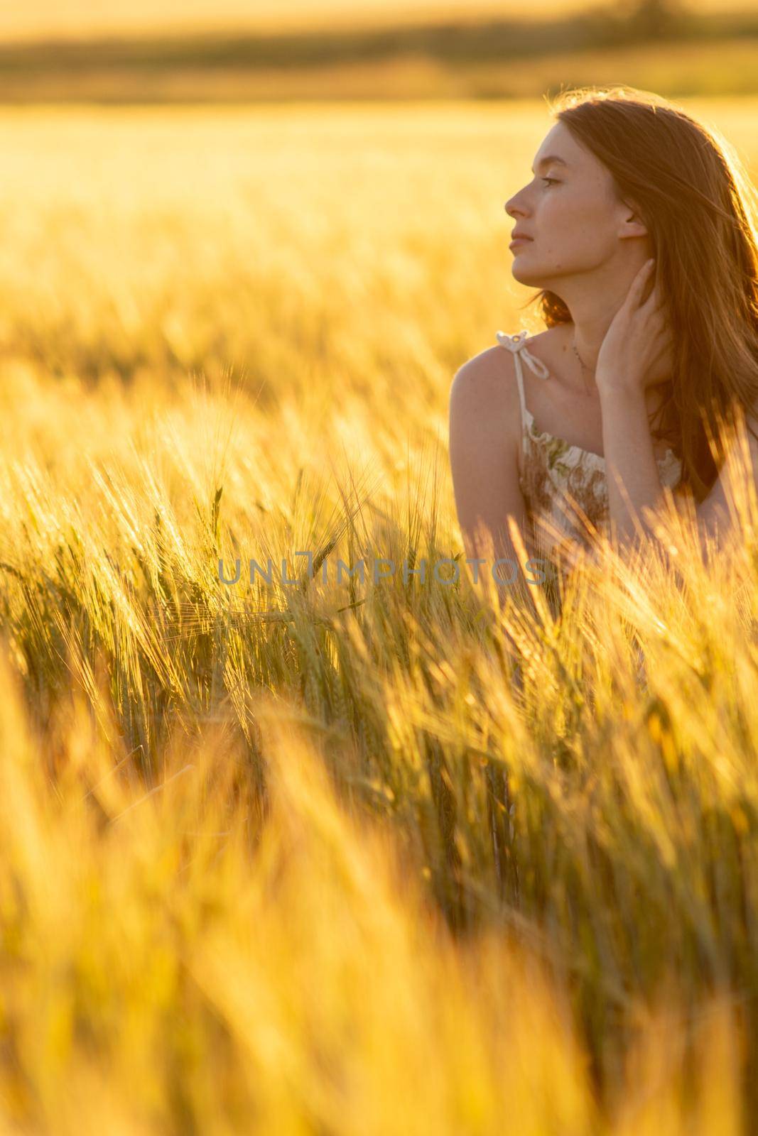 Girl in a dress in a wheat field at sunset by AlikMulikov