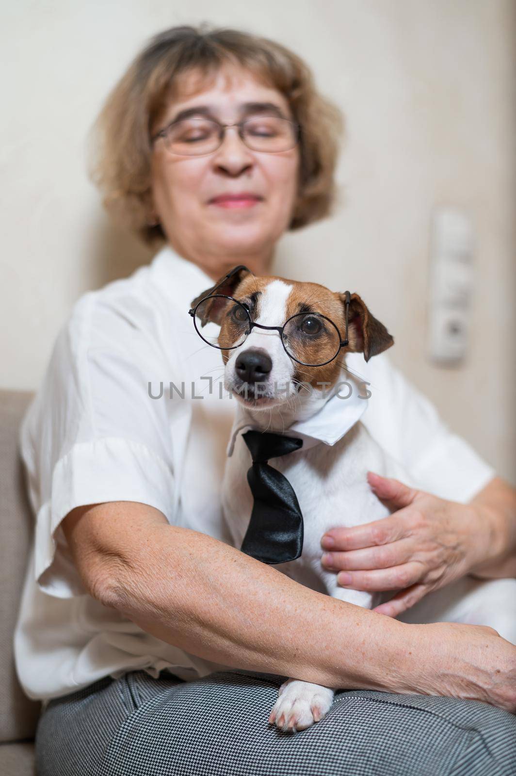 An elderly caucasian woman is holding a smart dog Jack Russell Terrier wearing glasses and a tie by mrwed54
