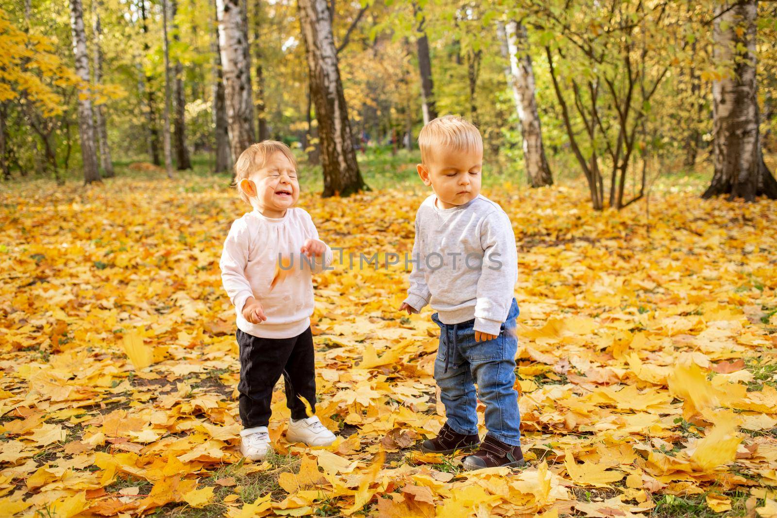 two little toddlers laugh under the falling autumn leaves. adorable kids in autumn park by Mariaprovector