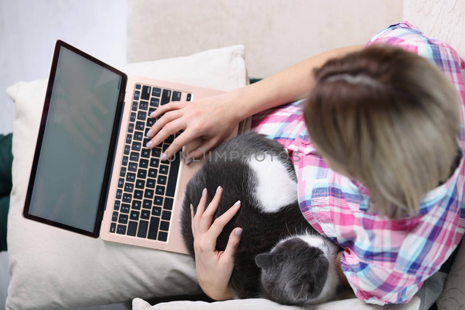 Top view of young woman sitting on sofa and working on modern laptop. Female owner petting home cat. Distance and remote work or quarantine time concept