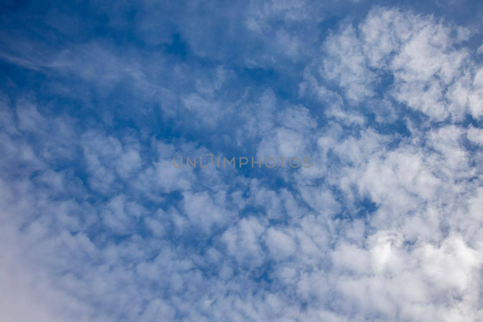 Cirrus clouds on a sultry summer day. A rare view of cirrus clouds on a calm day. Spindrift clouds. beautiful Background. Landscape.