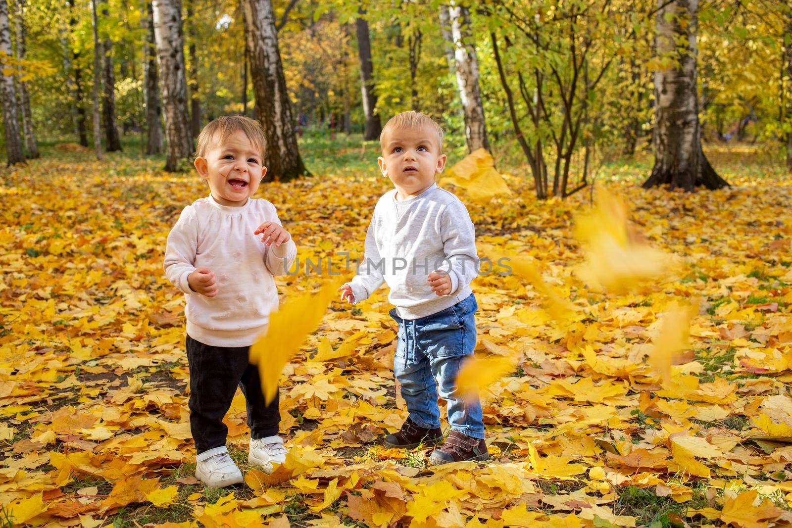 two little toddlers laugh under the falling autumn leaves. adorable kids in autumn park. golden autumn