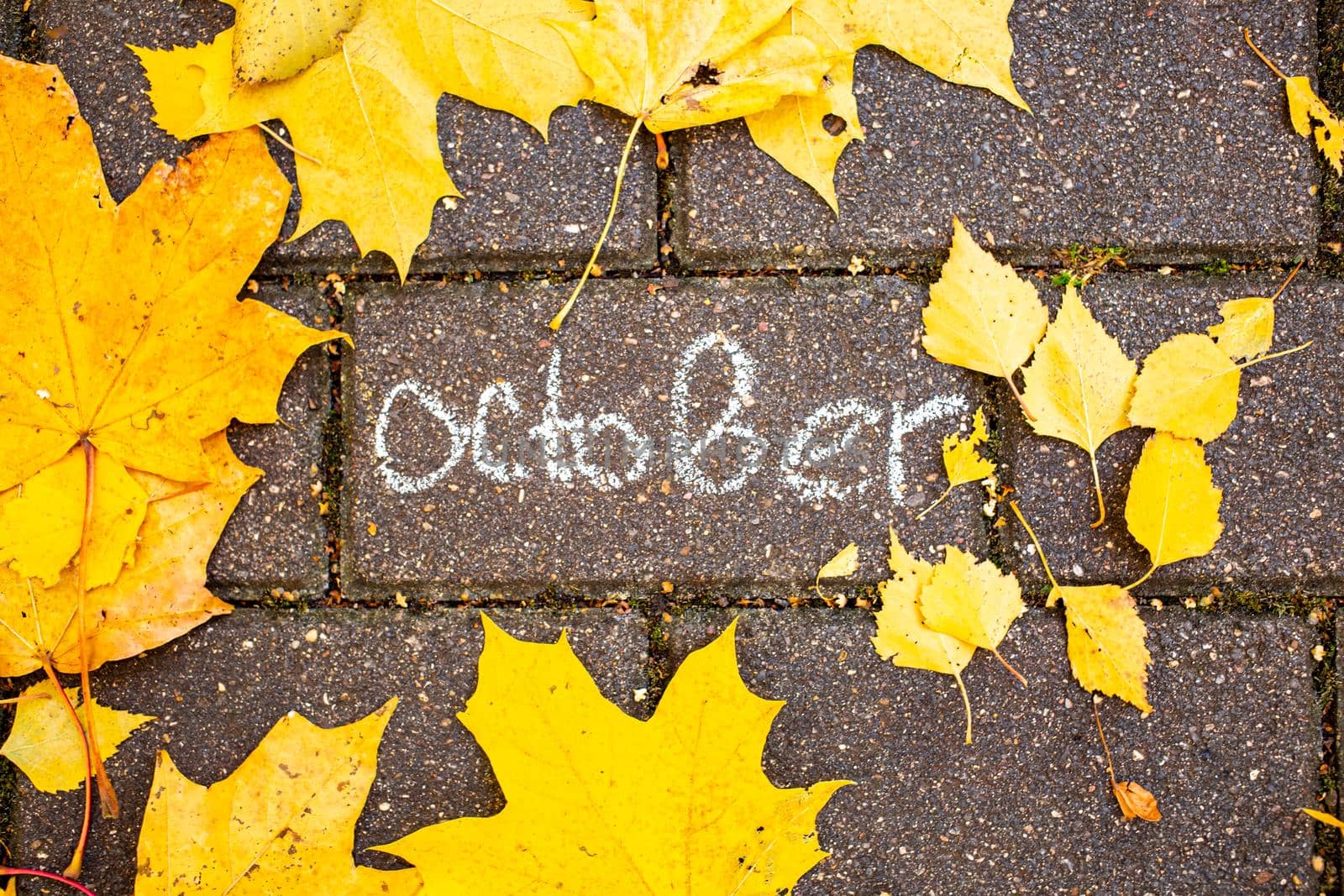 chalk inscription october on the asphalt tile among the autumn leaves. top view. concept autumn falling