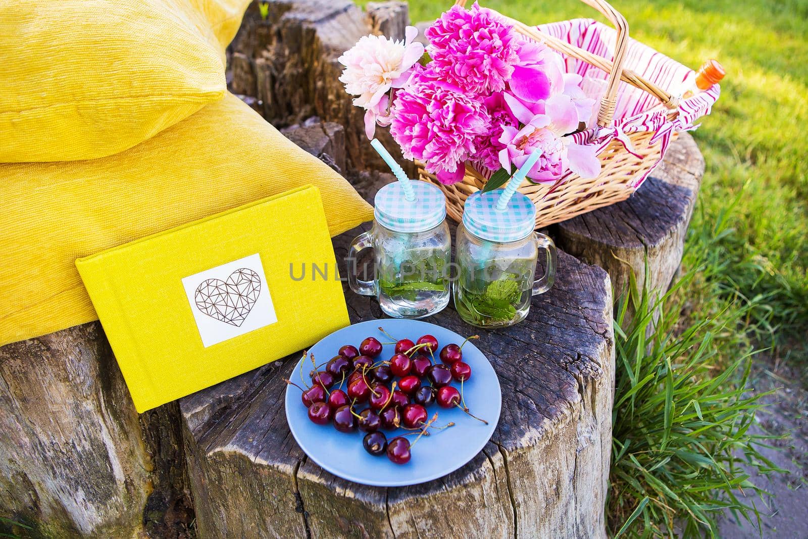 Bright and delicious picnic in nature-a healthy day