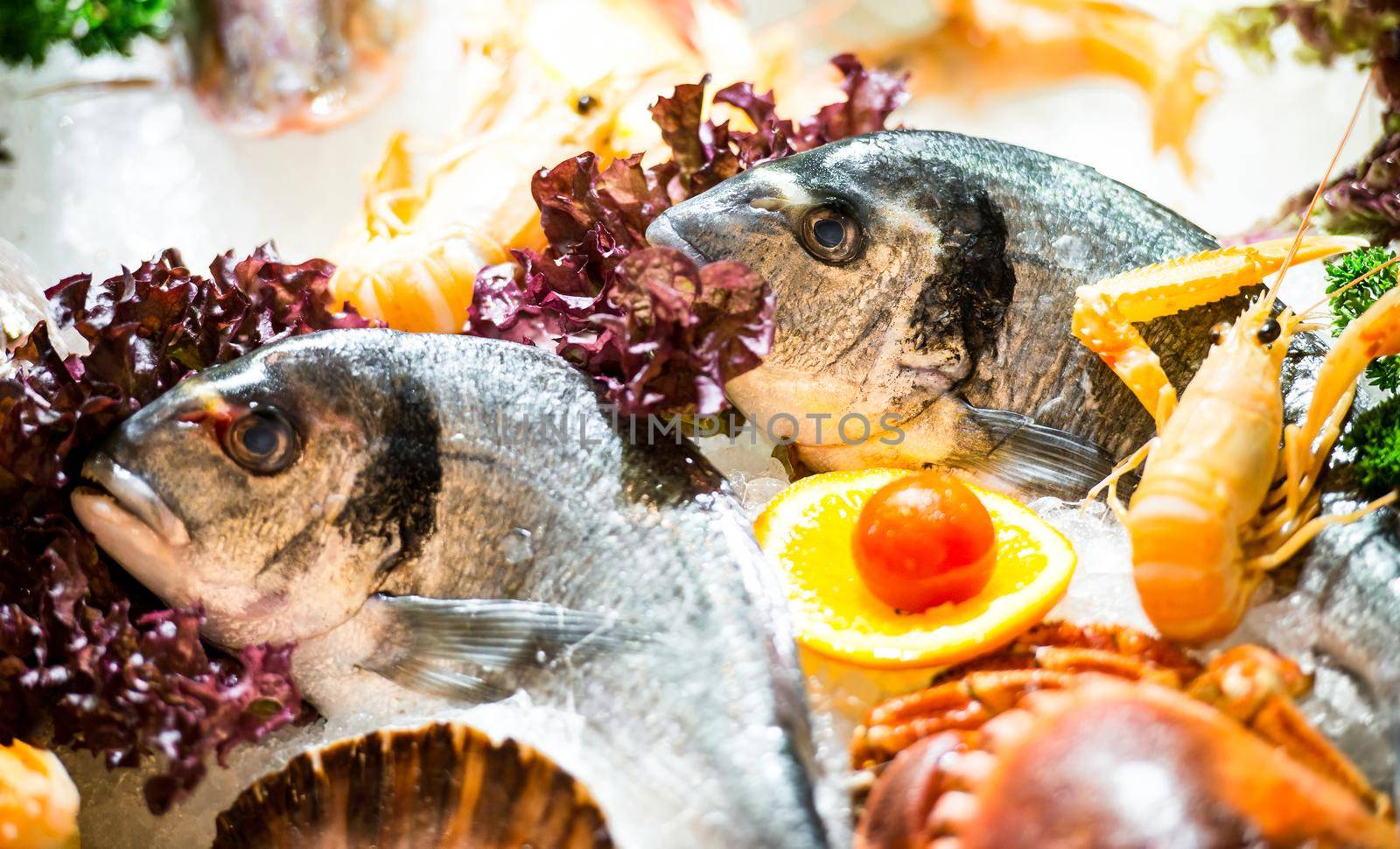 fresh seafood by GekaSkr