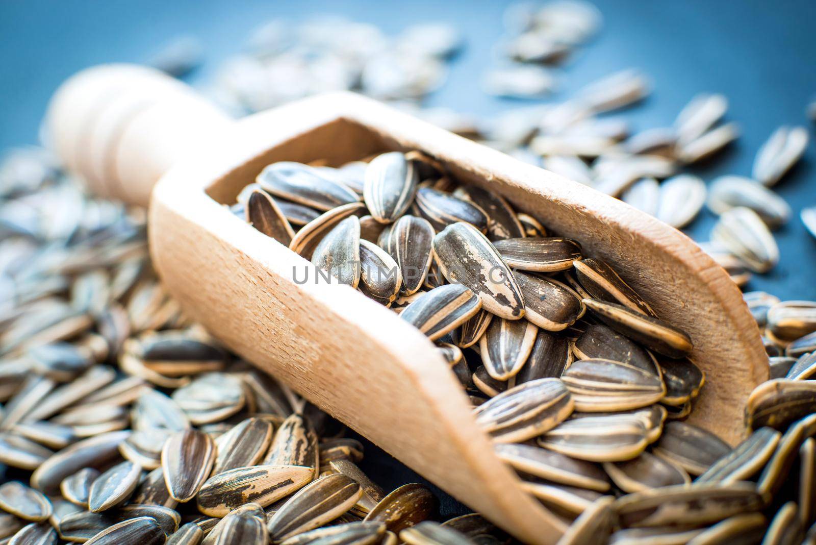 sunflower seeds in a wooden spoon