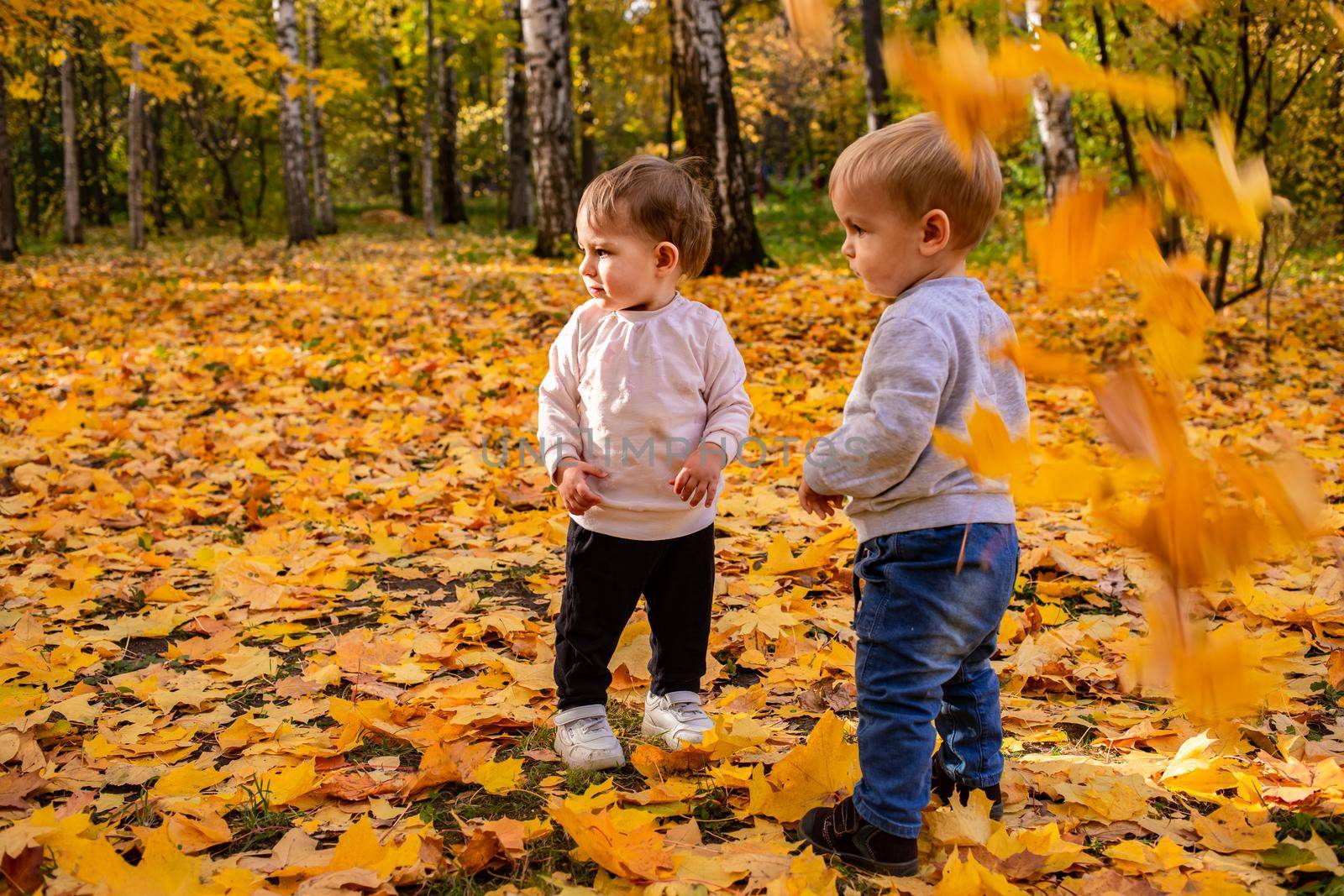 cheerful kids catching maple leaves falling in autumn city Park.