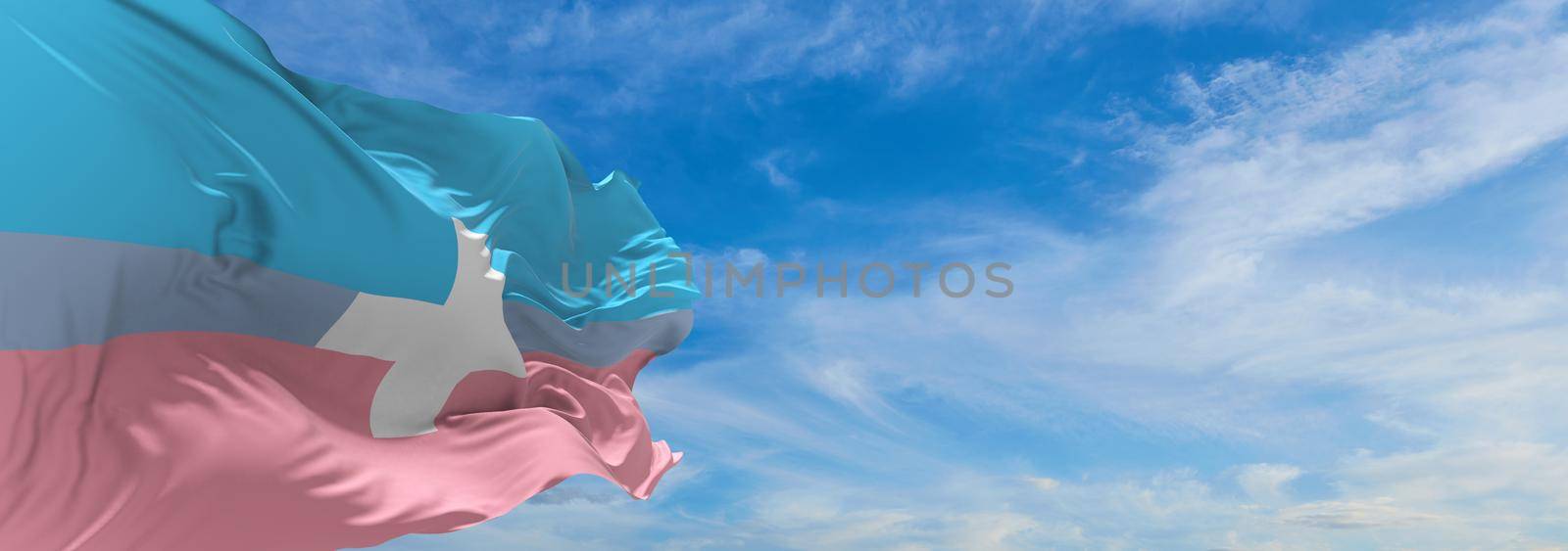 flag of Transmedicalism waving in the wind at cloudy sky. Freedom and love concept. Pride month. activism, community and freedom Concept. Copy space. 3d illustration