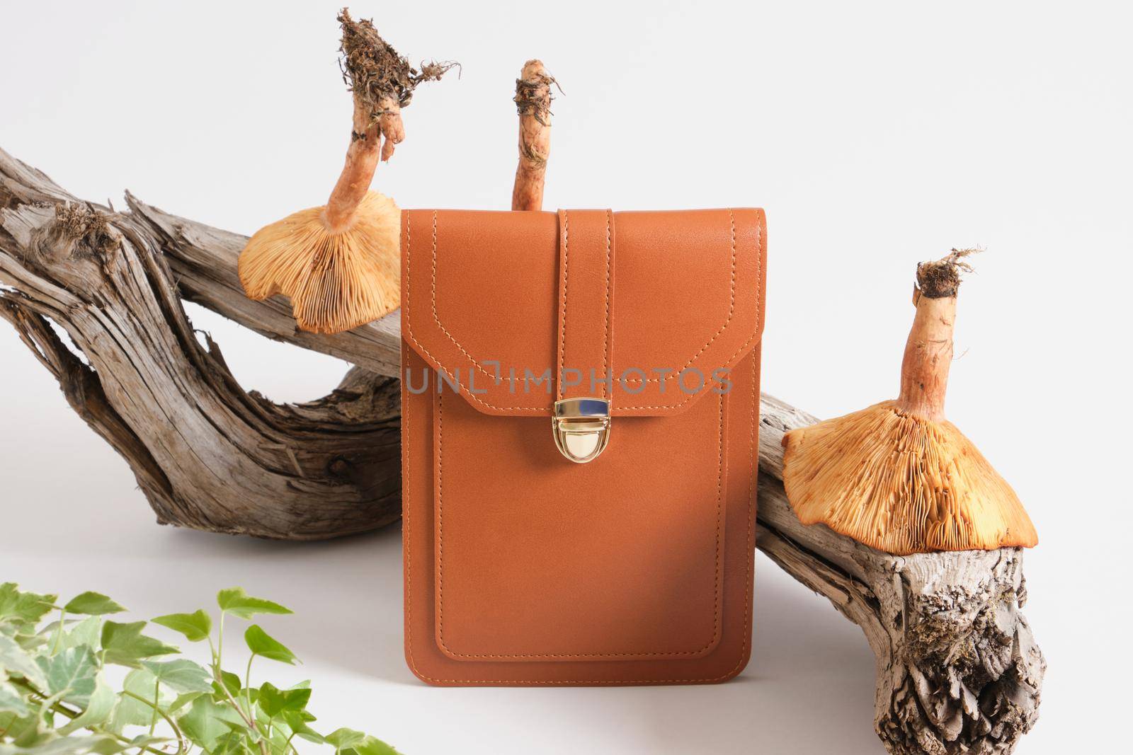 brown bag made of eco leather, driftwood and toadstools mushrooms on a gray background, genuine leather from mushroom mycelium concept, no killing animals for the sake of fashion