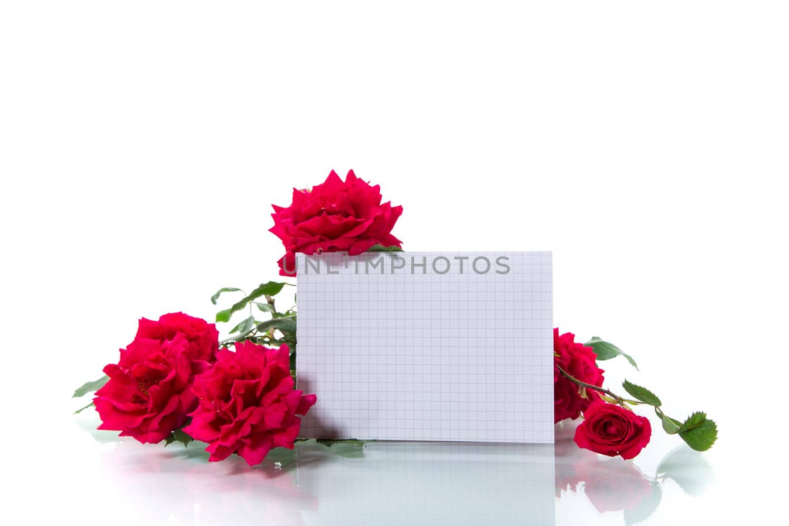 bouquet of beautiful red roses isolated on white by Rawlik