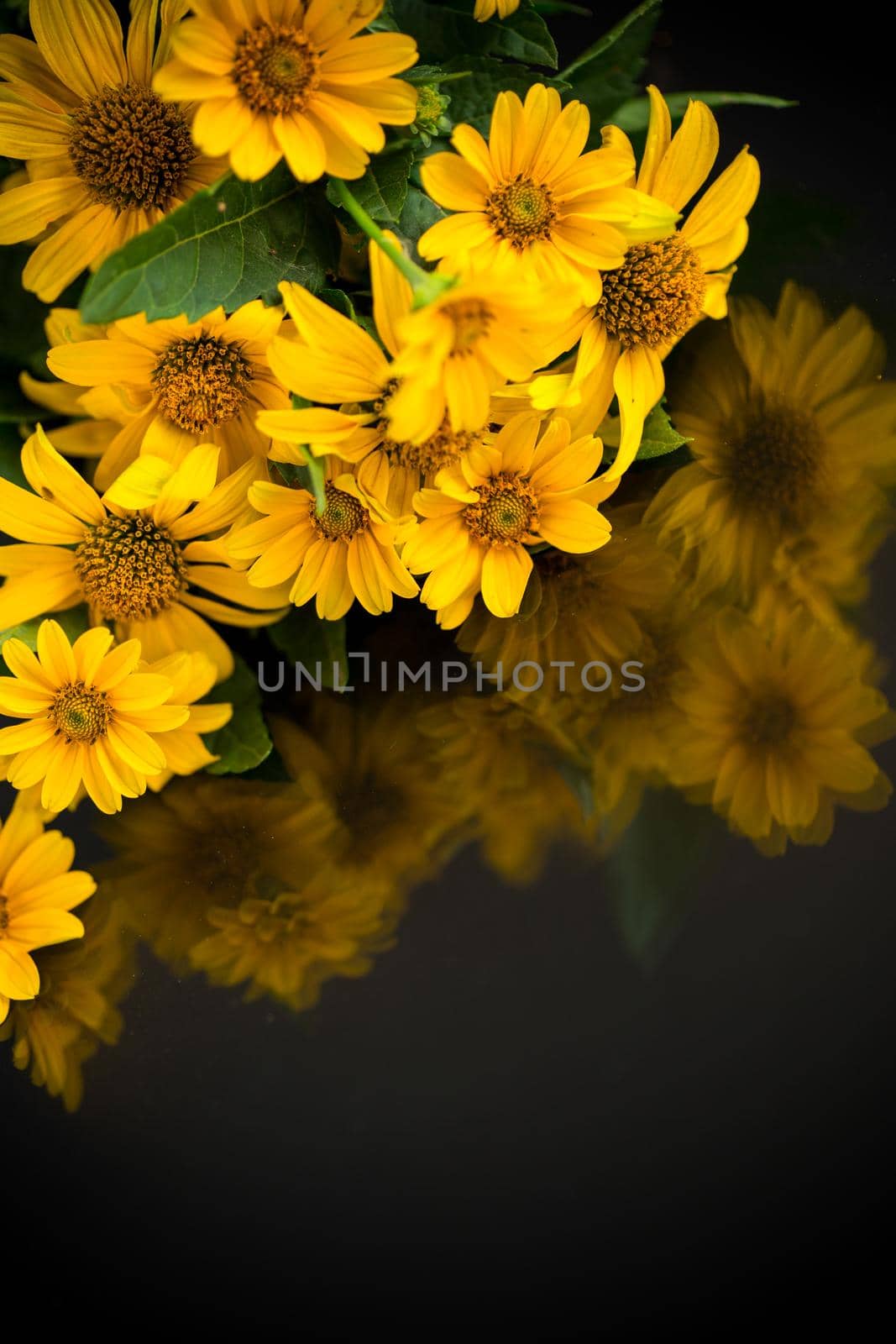 bouquet of beautiful yellow daisies isolated on black background