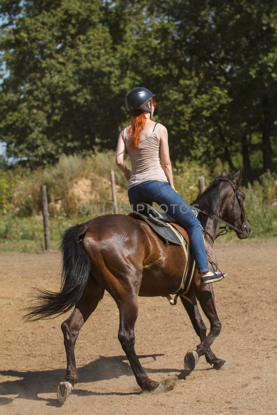 Red hair young on the horse - rear view - telephoto shot