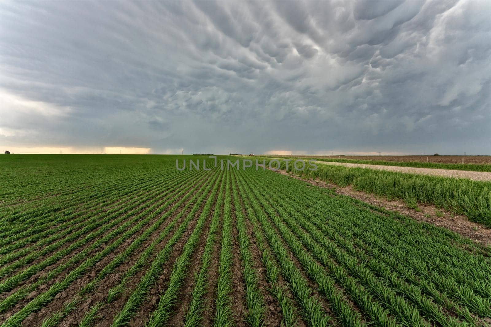 Prairie Storm Clouds in Saskatchewan Canada Rural