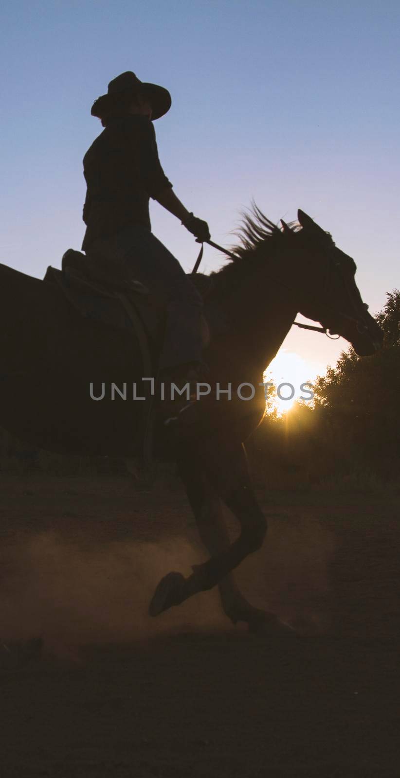 Silhouette of a woman in cowboy hat riding a horse - sunset or sunrise, horizontal by Studia72
