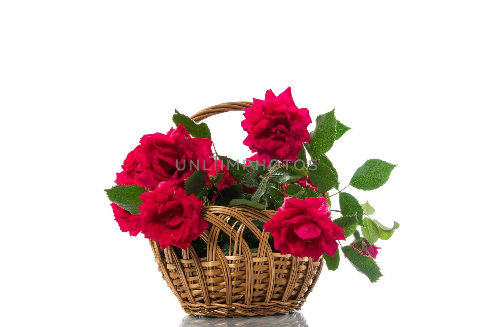 bouquet of beautiful red roses isolated on white by Rawlik