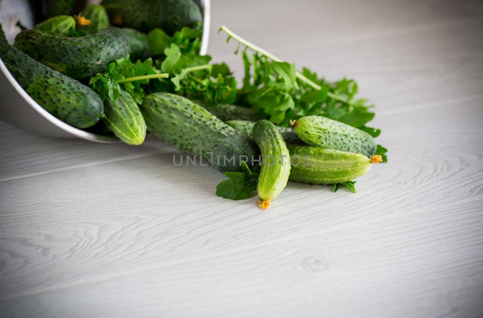 fresh organic cucumbers with herbs on a wooden table