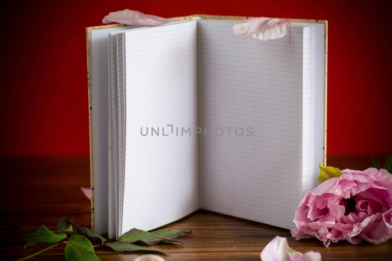 pink beautiful peony with petals, blank notebook for text on a wooden table