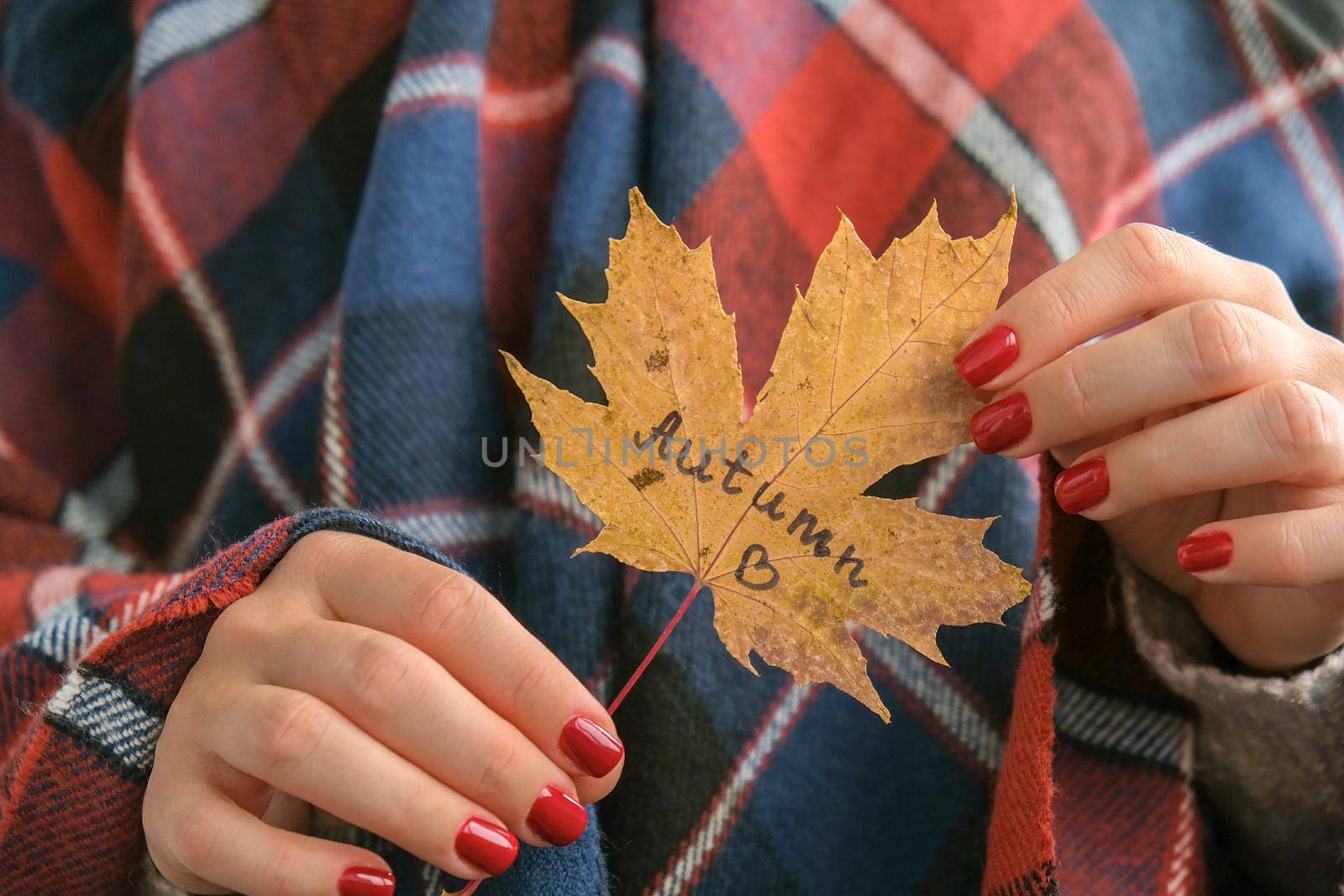 Stylish red female nails. Fall leaf with text AUTUMN in hands. Modern Beautiful manicure. Autumn winter nail design concept of beauty treatment. Gel nails. Skin care. Wellness. Trendy colors.