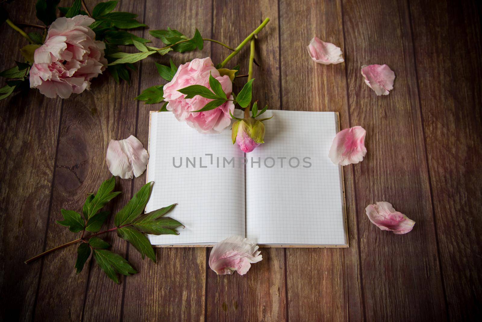 beautiful pink blooming peonies on a detailed blank notebook
