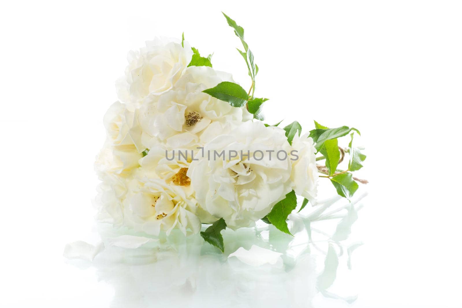 bouquet of beautiful white roses isolated on white by Rawlik