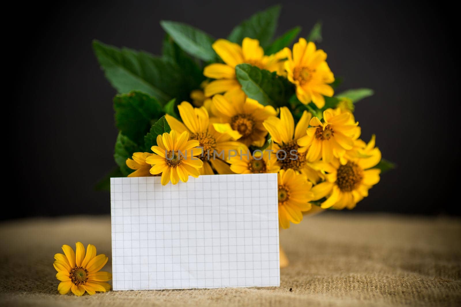 bouquet of beautiful yellow daisies isolated on black background