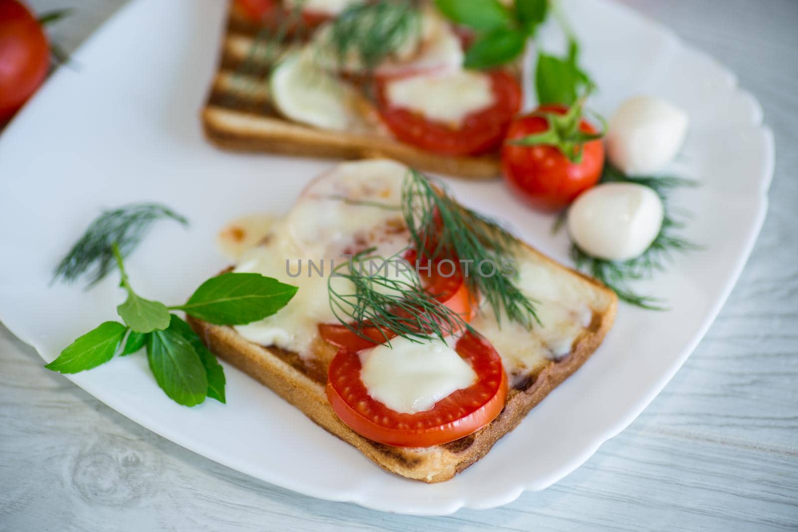 fried hot toast with mozzarella and tomatoes in a plate on a wooden table