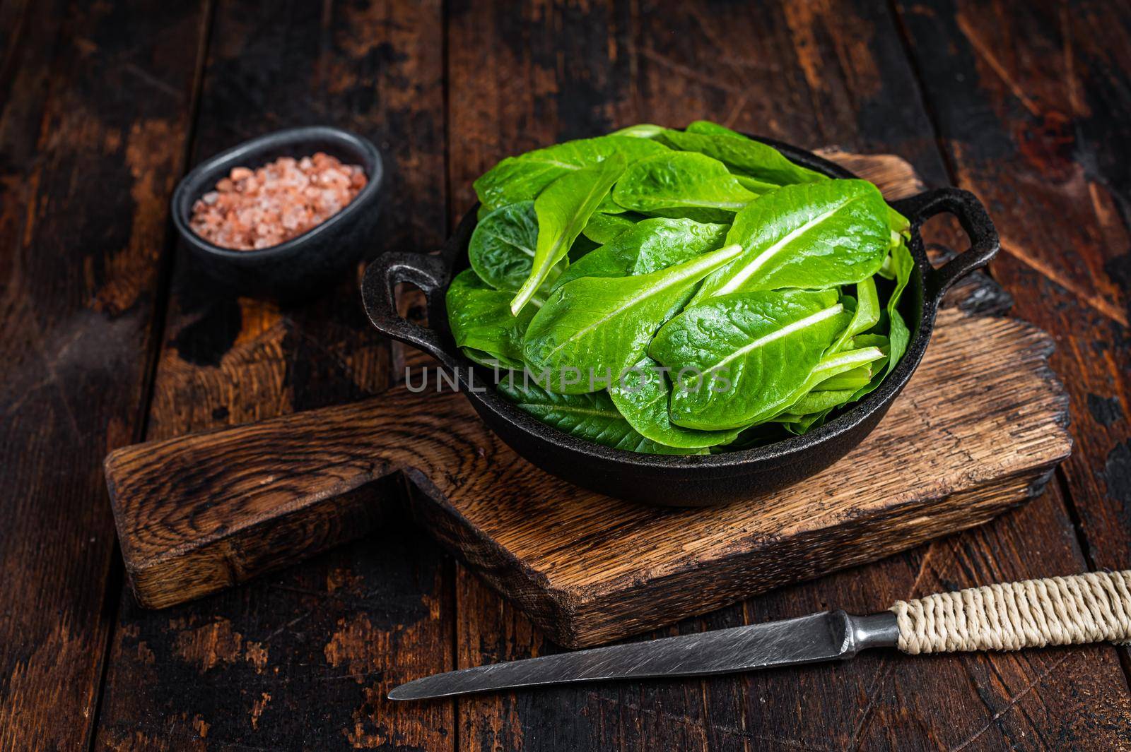 Baby romain green salad leaves in pan. Dark wooden background. Top view by Composter