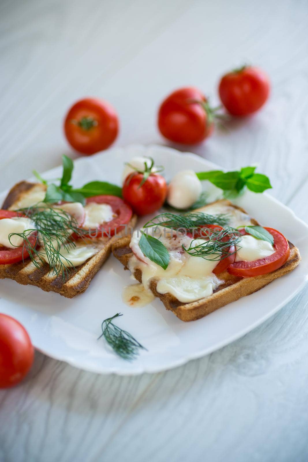 fried hot toast with mozzarella and tomatoes in a plate on a wooden table