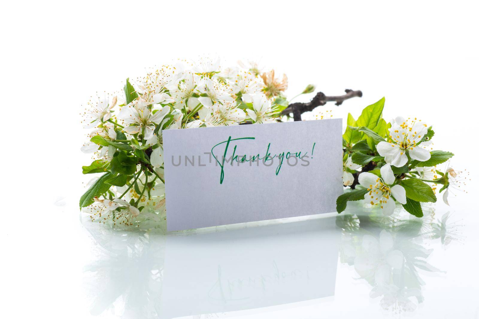 thank you card and blooming spring branch with flowers isolated on white background