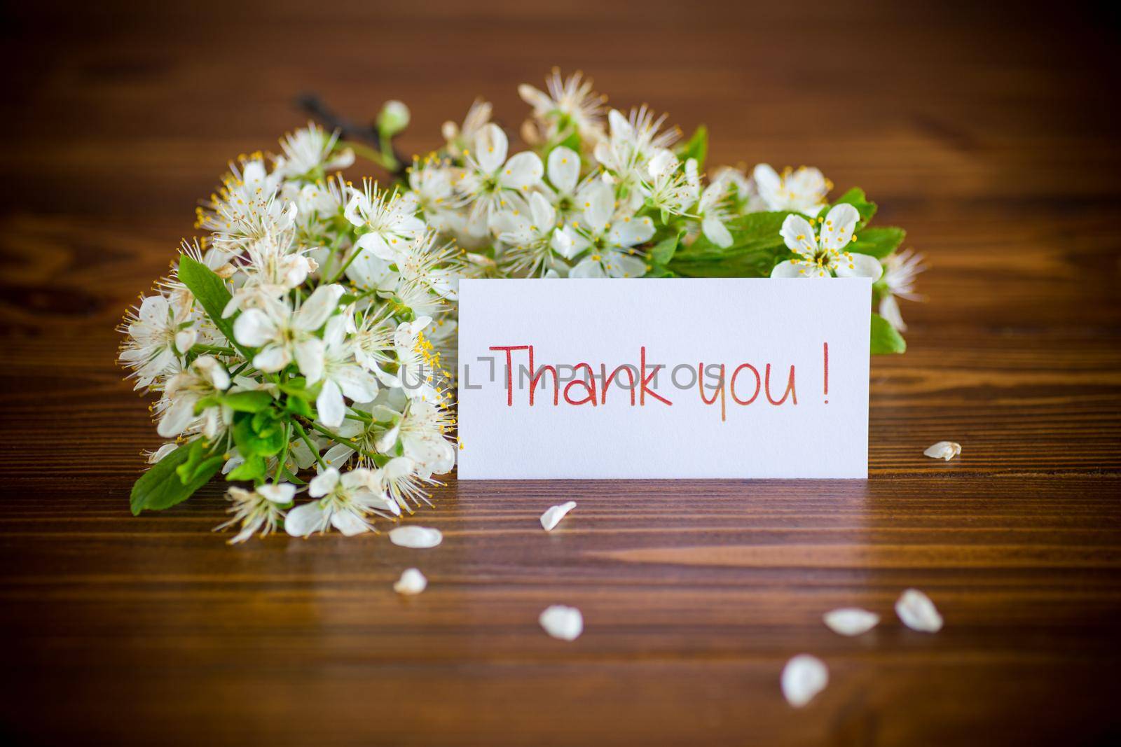 thank you card and blooming spring branch with flowers, on wooden background