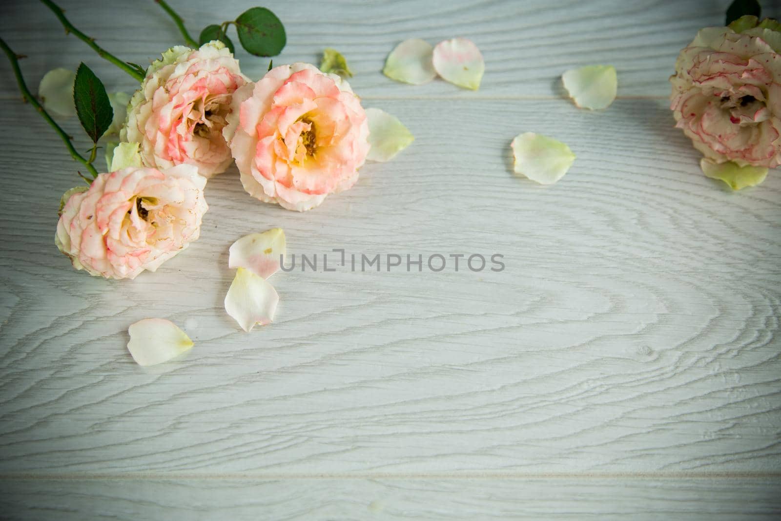 bouquet of beautiful roses on a wooden table