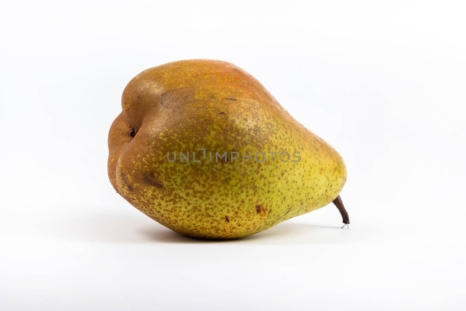 Large pear tree on white isolated background.