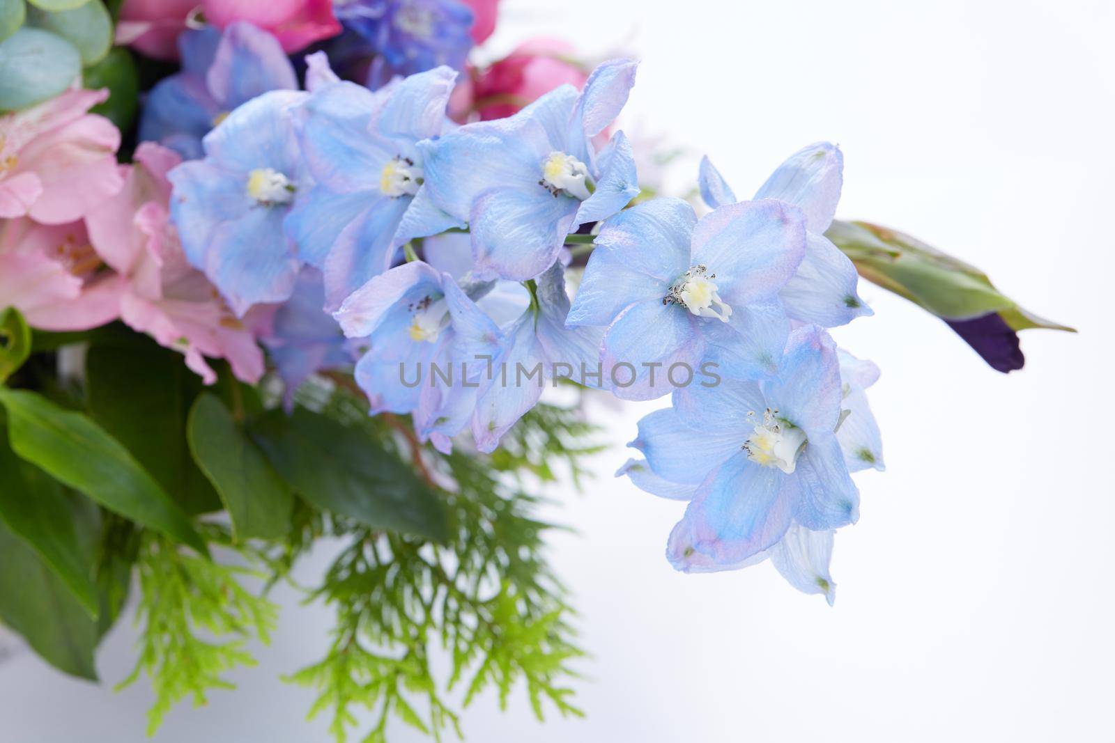 wedding bouquet  isolated on white background. Fresh, lush bouquet of colorful flowers