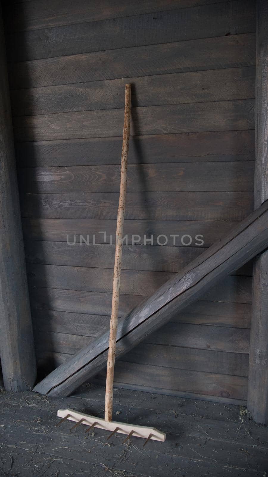 Ancient wooden rake in the shed by Studia72