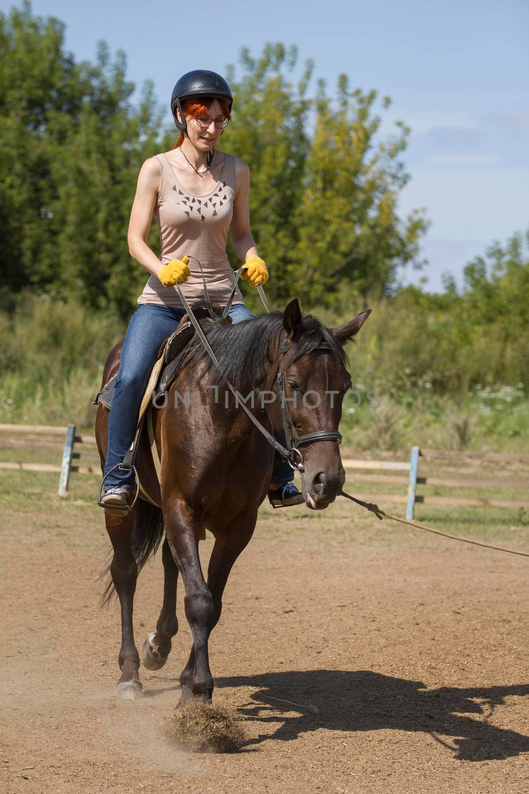 Horseback riding lessons - young woman riding a horse, vertical by Studia72