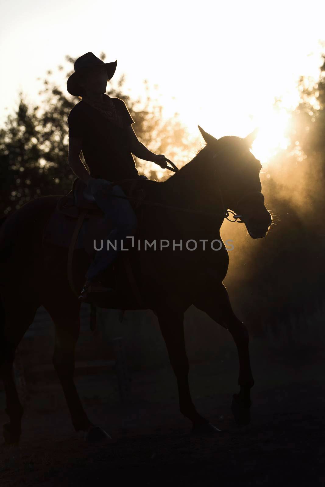 Silhouette of a woman riding a horse - sunset or sunrise by Studia72