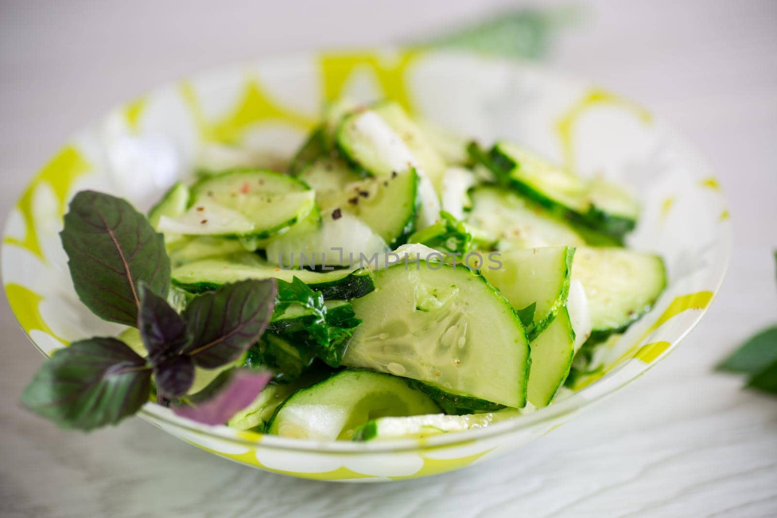fresh organic cucumber salad with herbs and basil in a plate on the table