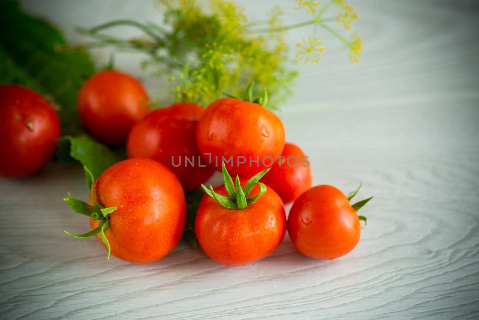 fresh natural tomatoes with spices prepared for conservation