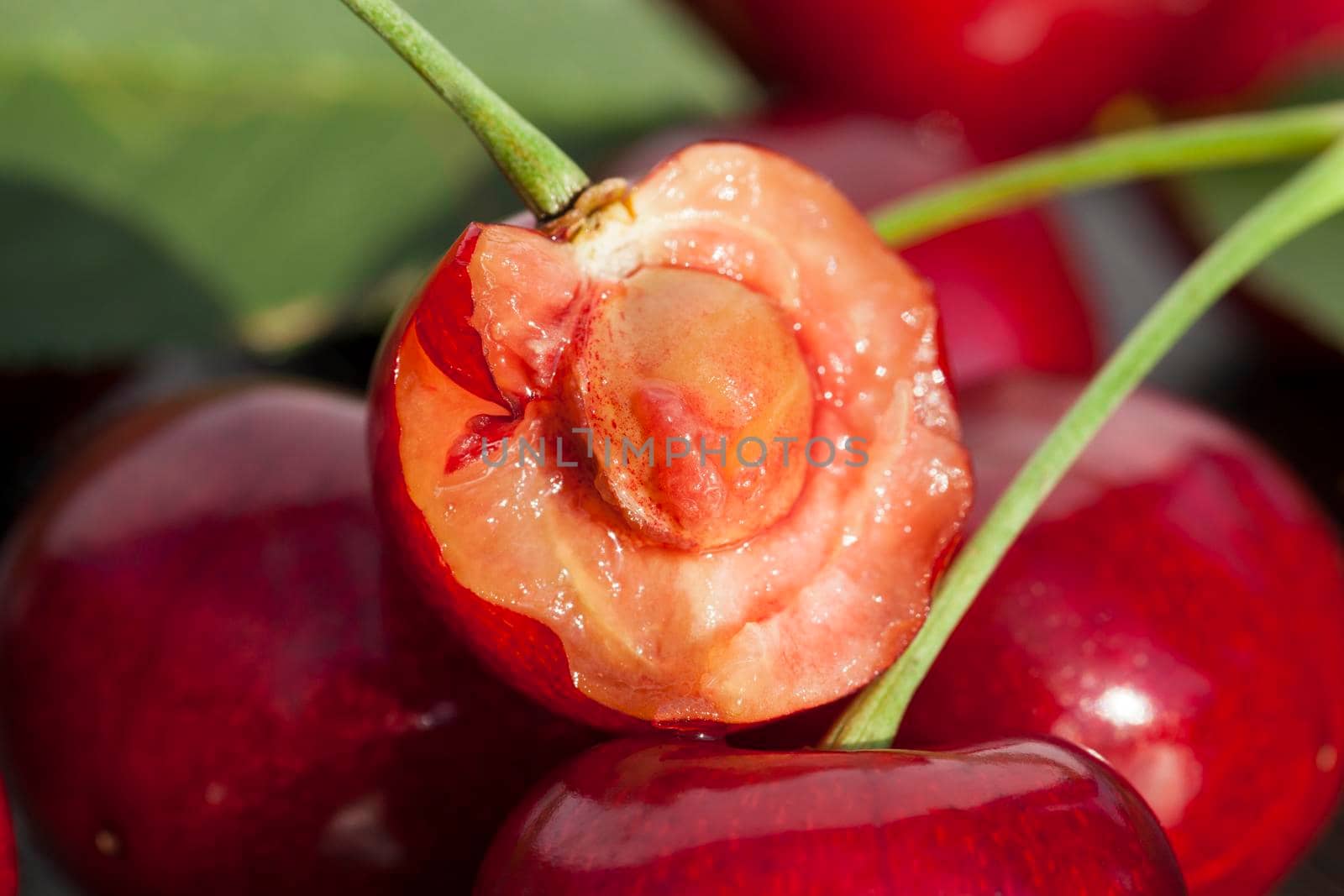red ripe cherries by avq