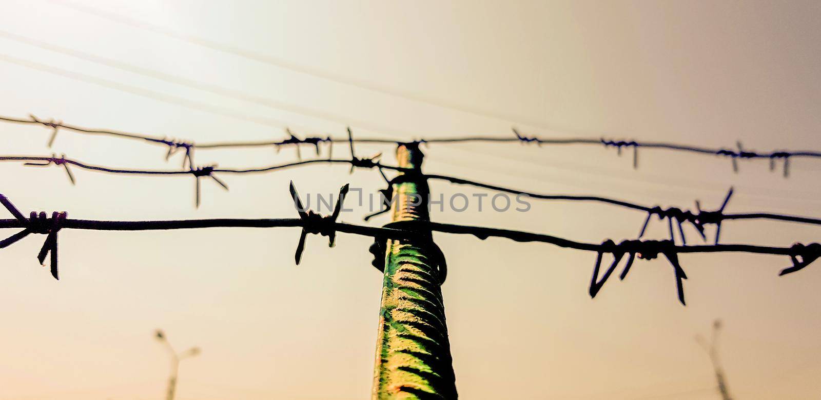 Barbed wire. Barbed wire on fence with blue sky to feel worrying. The silhouette of the old barbed wire fence and the sky at twilight