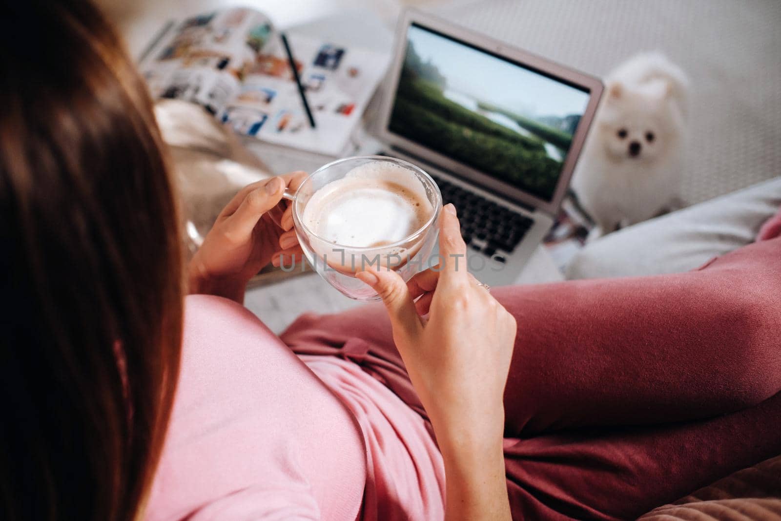 a girl in pajamas at home is working on a laptop with her dog Spitzer, the dog and its owner are resting on the couch and watching the laptop.Household chores by Lobachad