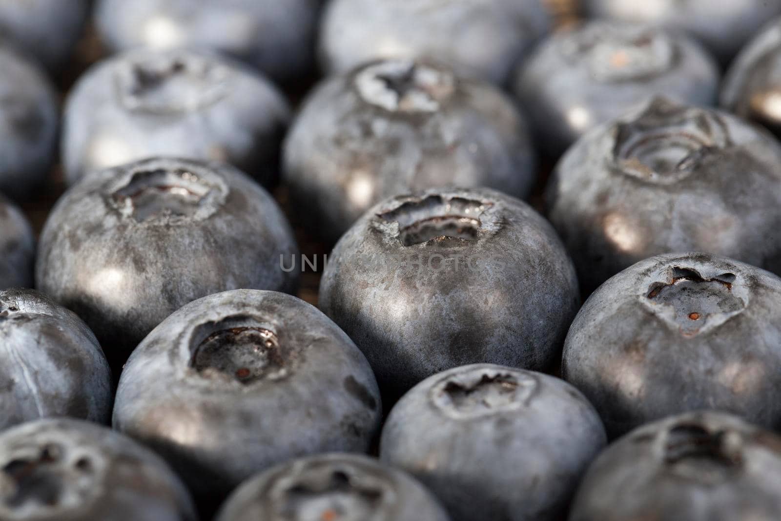 large ripe blueberries by avq