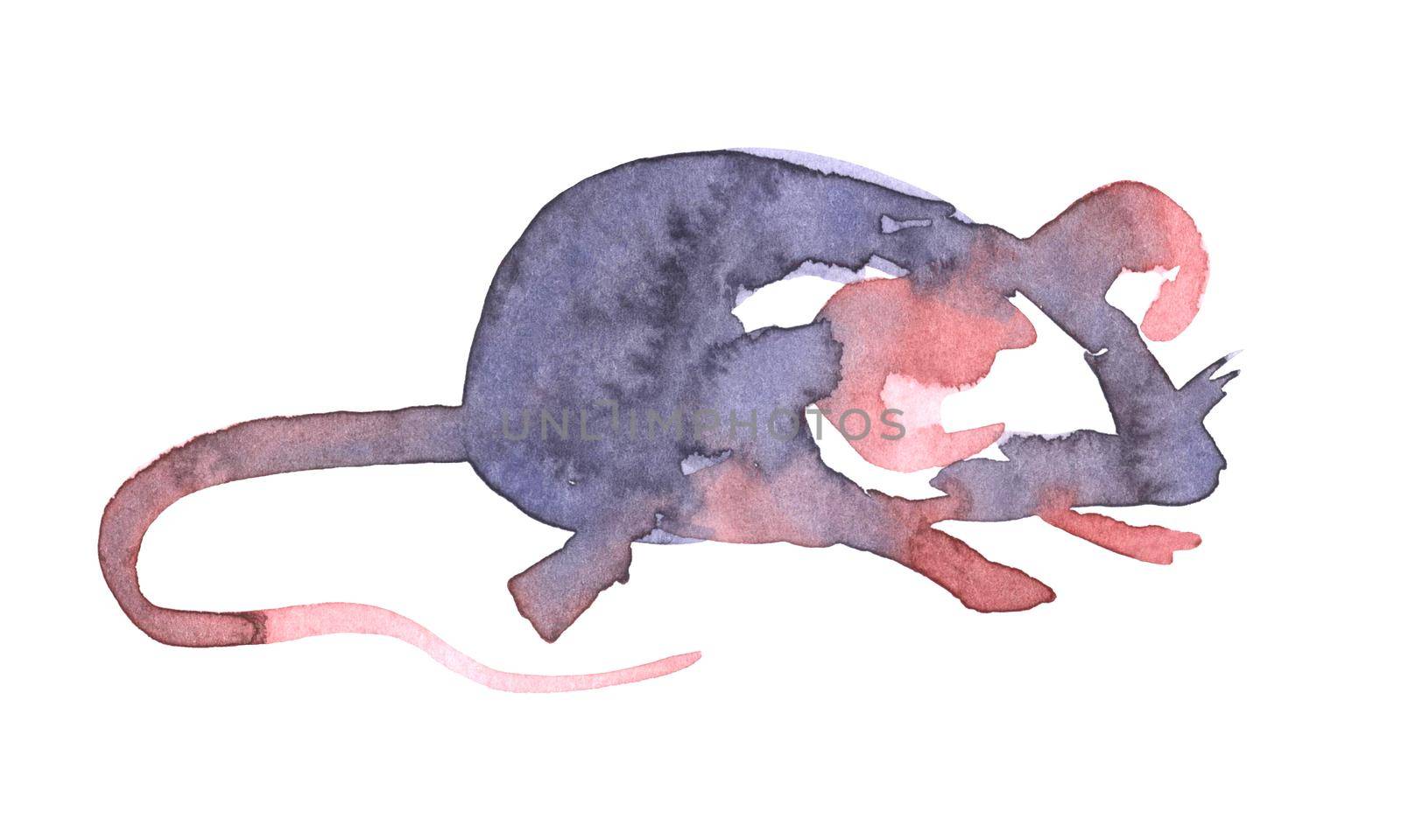 Mouse watercolour illustration. Funny icon of animal. Grey rat with pink ears isolated on white background. 2020 new year painting symbol. Drawing art object for design by DesignAB