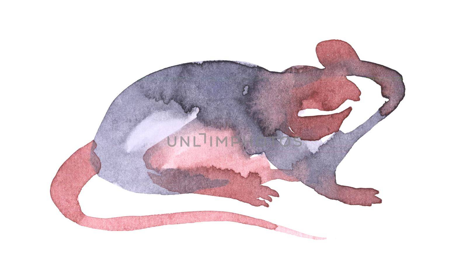 Mouse watercolour illustration. Funny icon of animal. Grey rat with pink ears isolated on white background. 2020 new year painting symbol. Drawing art object for design by DesignAB